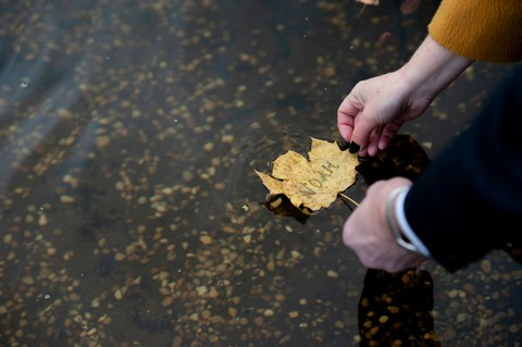 Grieving people placing a leaf on water as a ritual in NYC